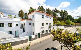 Forest Villas - Guest House